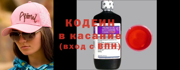 сатива Арсеньев