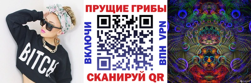 KRAKEN как зайти  Серафимович  Галлюциногенные грибы мухоморы 